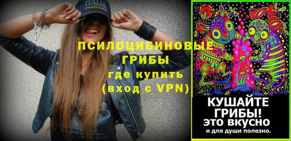 a pvp Инта