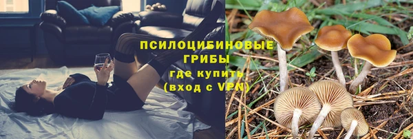 a pvp Инта