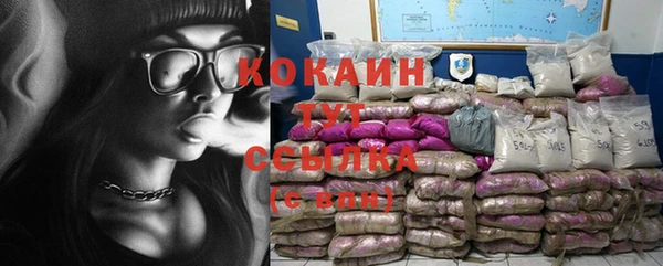 a pvp Инта