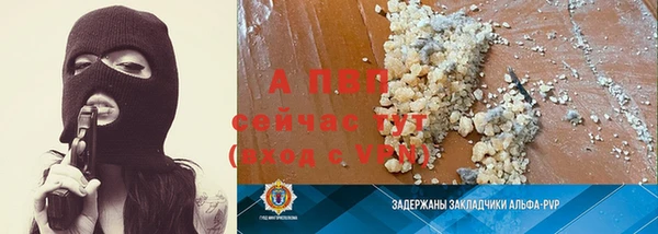 СК Инсар